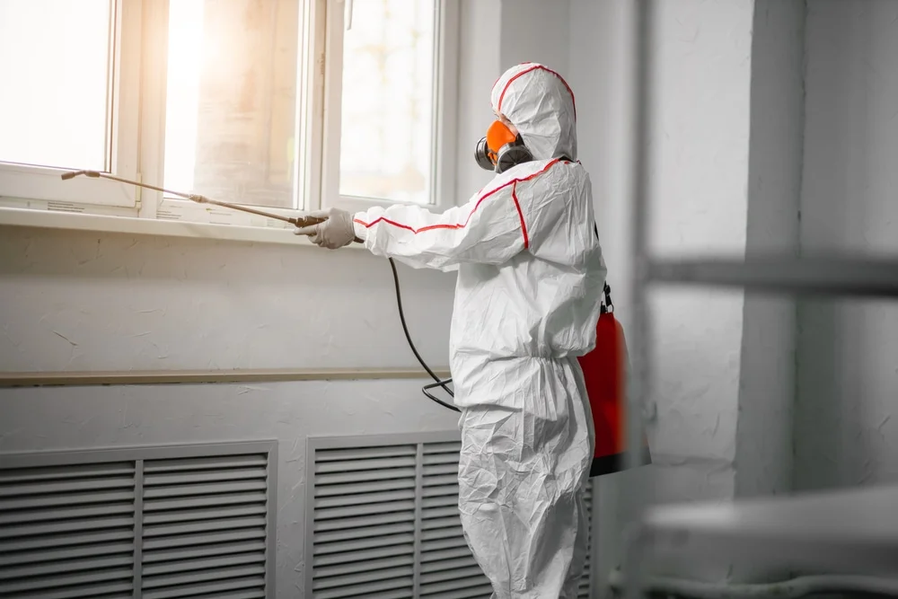 Professional mold remediation services in Osterville, MA